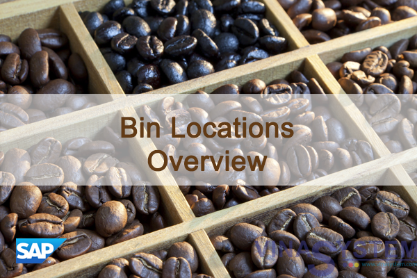 Bin Locations in SAP Business One - Bin Locations Overview