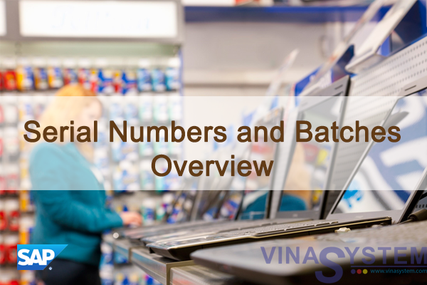 Serial Numbers and Batches in SAP Business One - Overview
