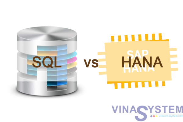 So sánh SAP Business One sử dụng cơ sở dữ liệu SQL và cơ sở dữ liệu HANA