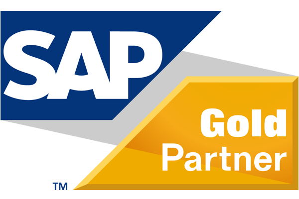 Mayor Korean retail company (LOTTE, E-Mart, CJ) SAP A1 Deploy & Maintenance